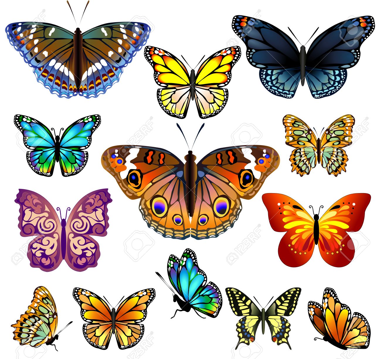 Kolorowe motyle delikatnie fruwają wśród kwiatów, zachwycając małych odkrywców swoim pięknem