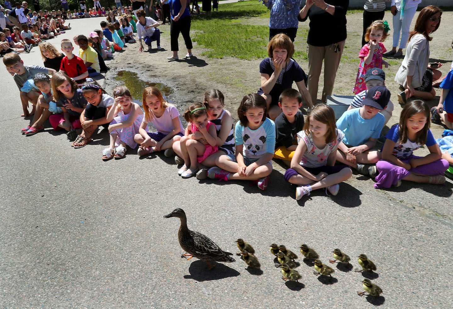 Dzieci karmią ptaki z ręki pod okiem opiekuna w specjalnej strefie