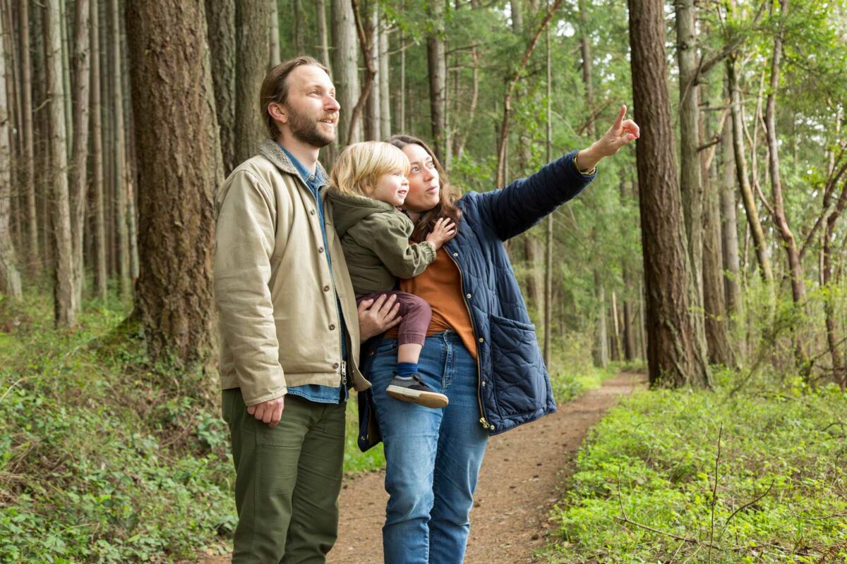 Drewniana tablica z rysunkami zwierząt stoi przy ścieżce dydaktycznej