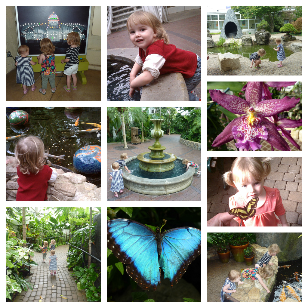 dziecko i rodzic spacerują wśród wysokich palm w szklarni palmiarni