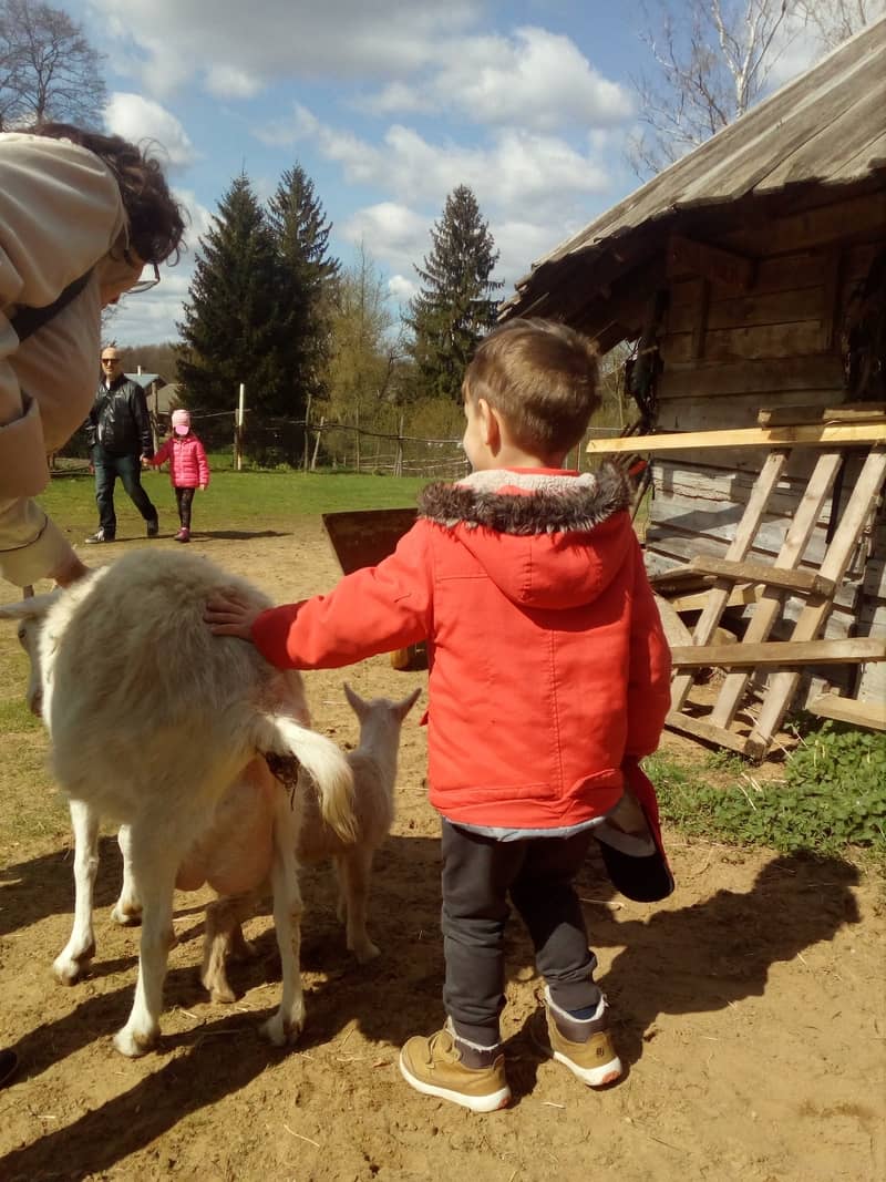 Dzieci i rodzice obserwują zwierzęta na zielonej farmie edukacyjnej koło Warszawy