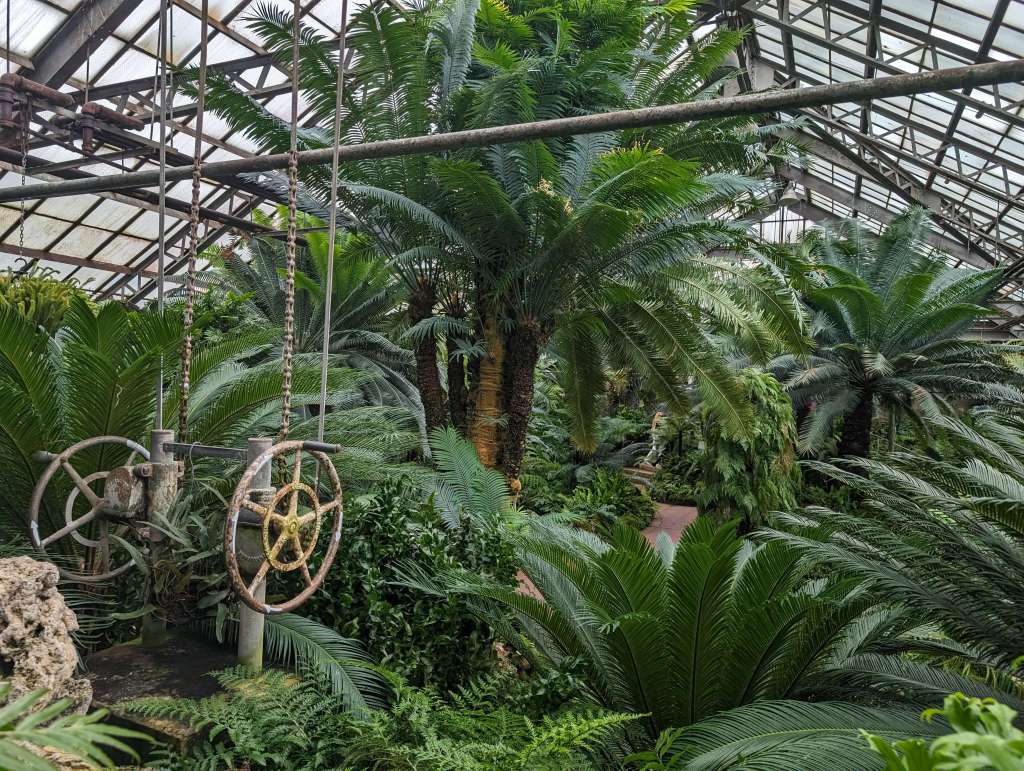 monstera i ciekawskie dziecko w palmiarni dziecko dotyka wielkich liści monstery w zielonej strefie palmiarni