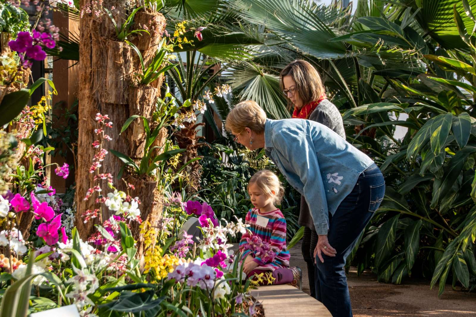 zbieranie liści palm przez dziecko małe rączki dziecka zbierają spadłe liście palm w palmiarni
