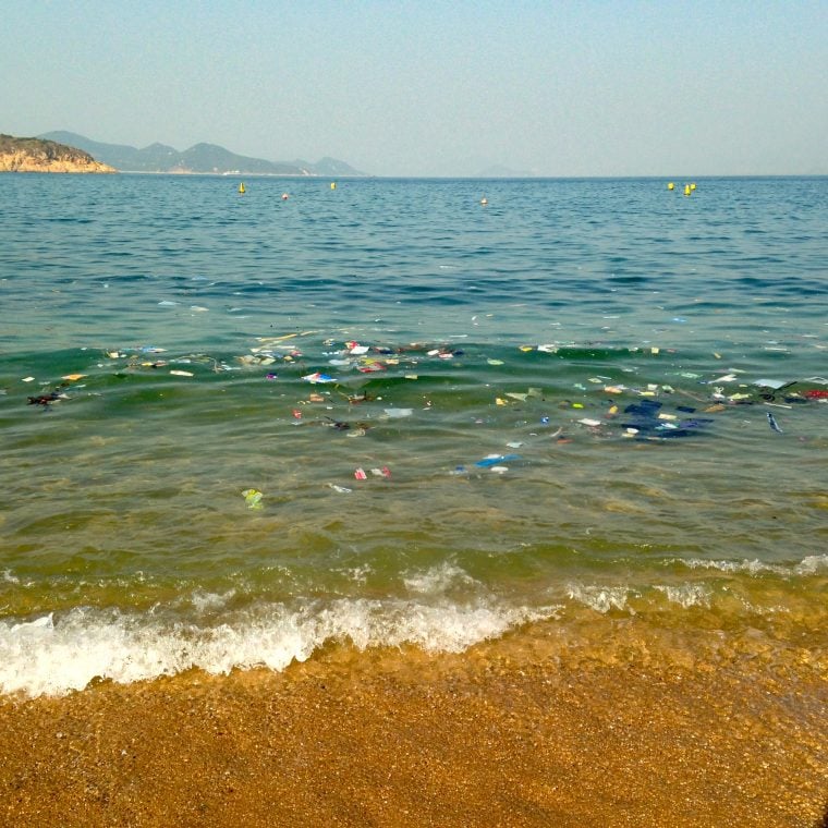 informacje o czystości wody znaki bezpieczeństwa wody zielone i czerwone na plaży