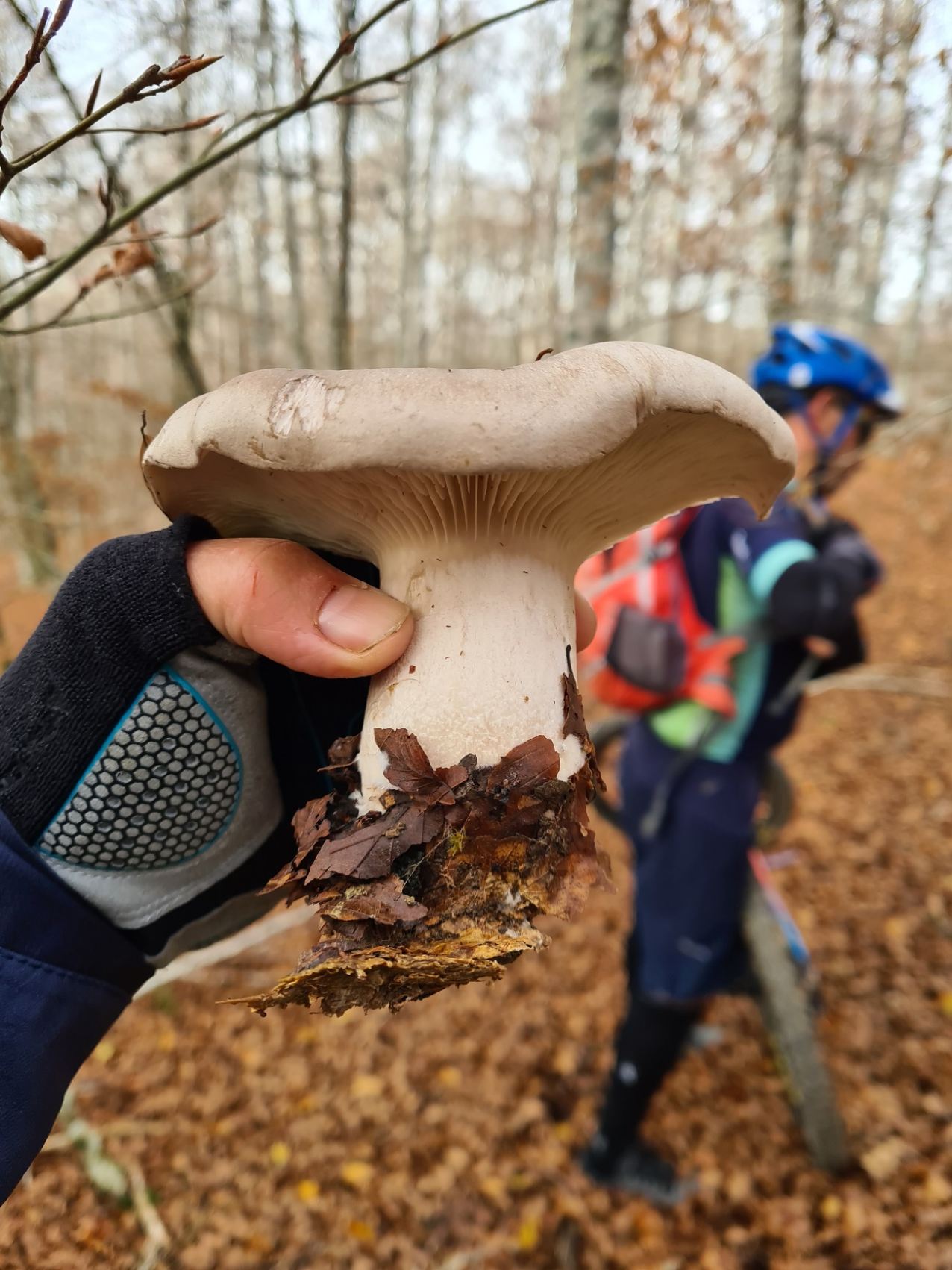 Wygodna trasa na rodzinny spacer Rodzina spokojnie spaceruje leśną ścieżką w czasie jesiennego grzybobrania